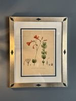 Set 4 stampe botaniche d'epoca in cornici lavorate