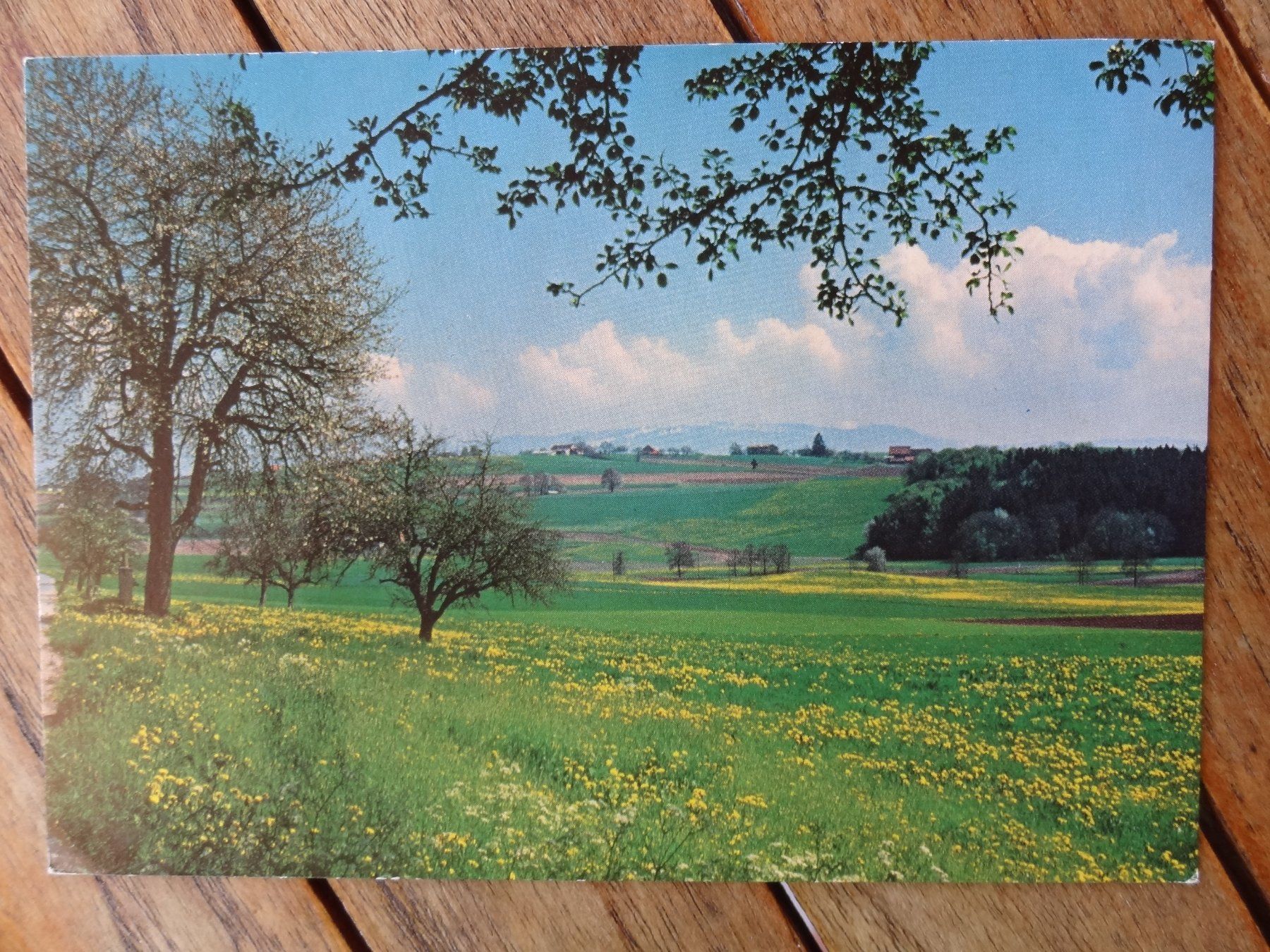 Cartoline postali: Noréaz - au printemps - 1985 – Usato da St Léonard venduto da Riglin