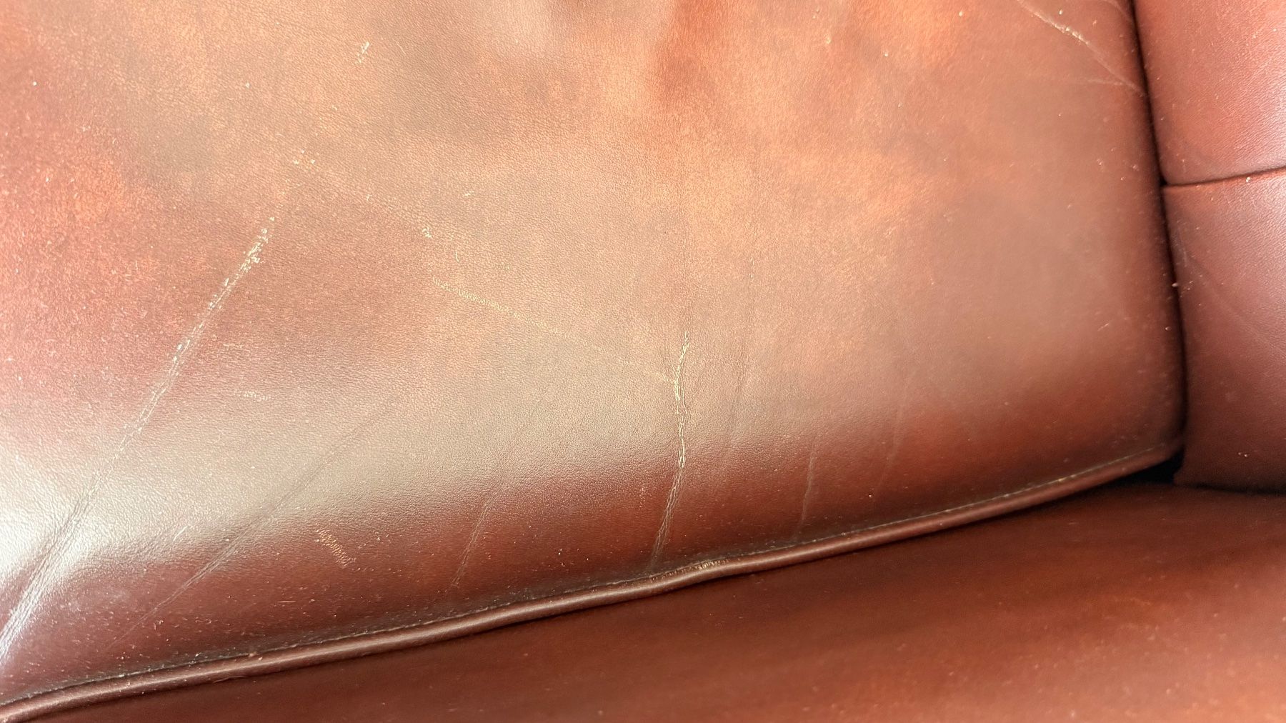 Sessel: Ledersessel braun Chesterfield – Gebraucht aus Wallisellen von lions009 6