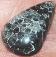 Cabochon L-1334 – Schlangen Fossil Edelstein – 25x15mm