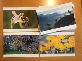Sammlung 40x Grusskarten Pro Natura