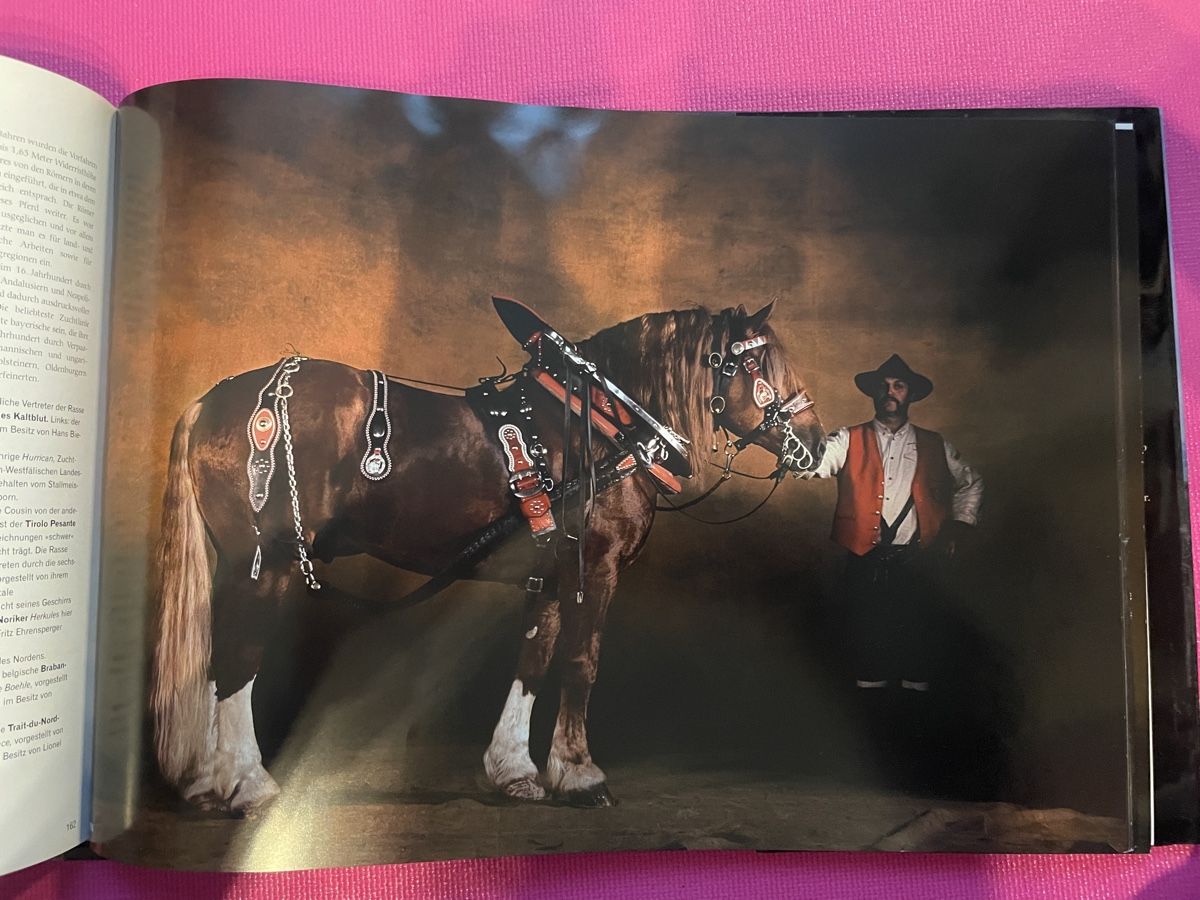 Libri: Pferde: Yann Arthus-Bertrand Bildband – Usato da Einsiedeln venduto da loubi02 5