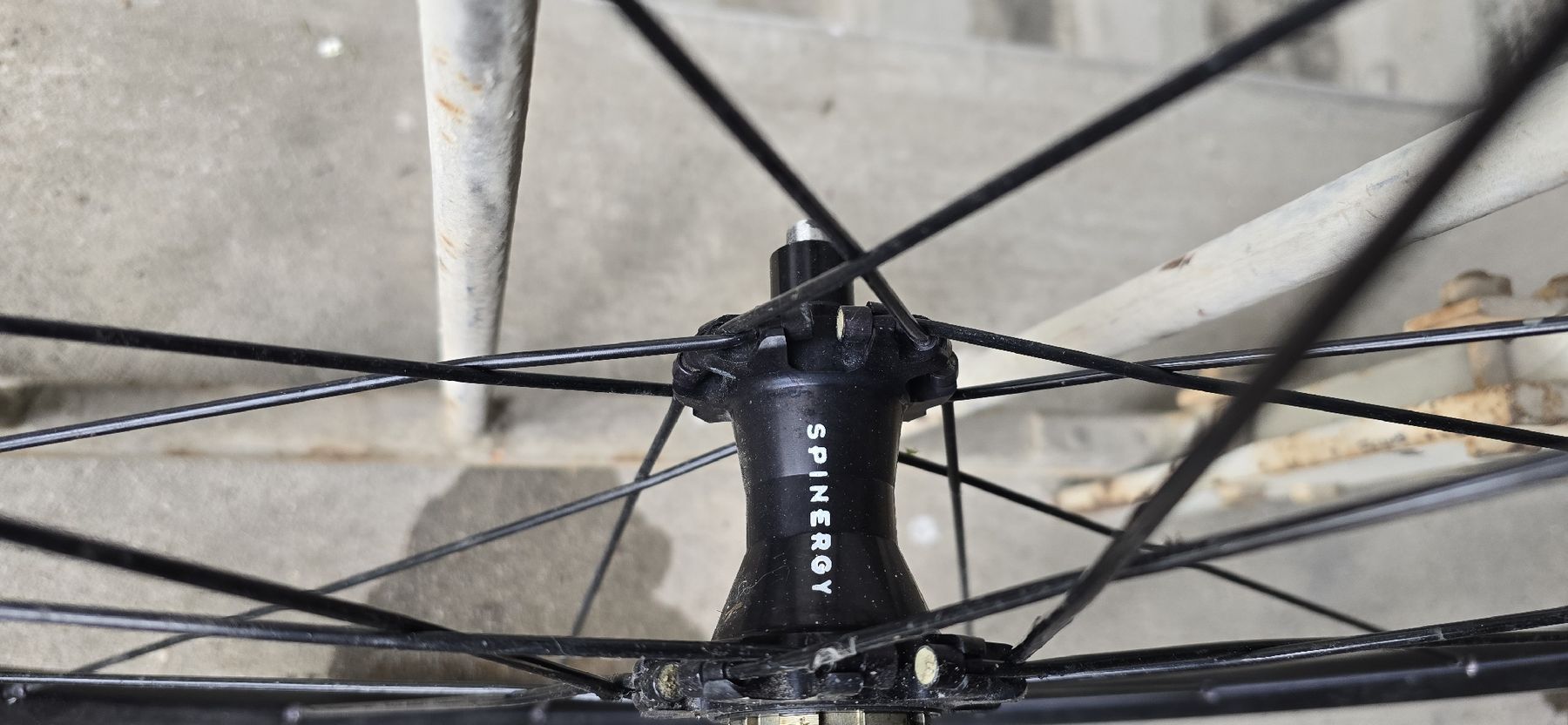 Pezzi di ricambio: Spinergy 28" LRS  – Usato da basel venduto da Propain 5
