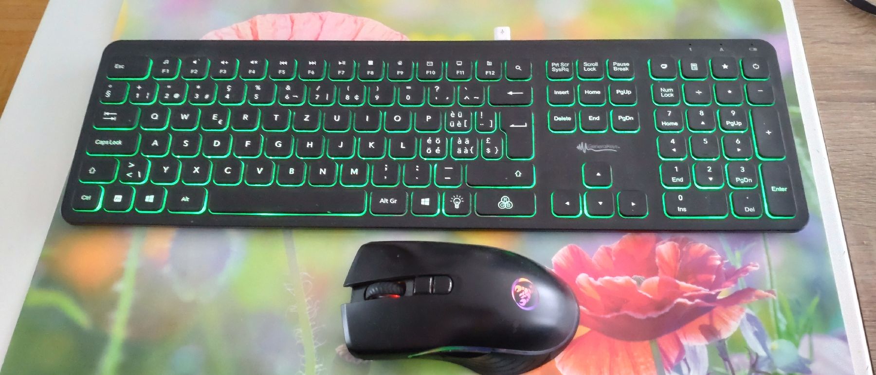 Tastiere: Tastatur und Maus – Usato da Bremgarten AG venduto da irmscherastraH