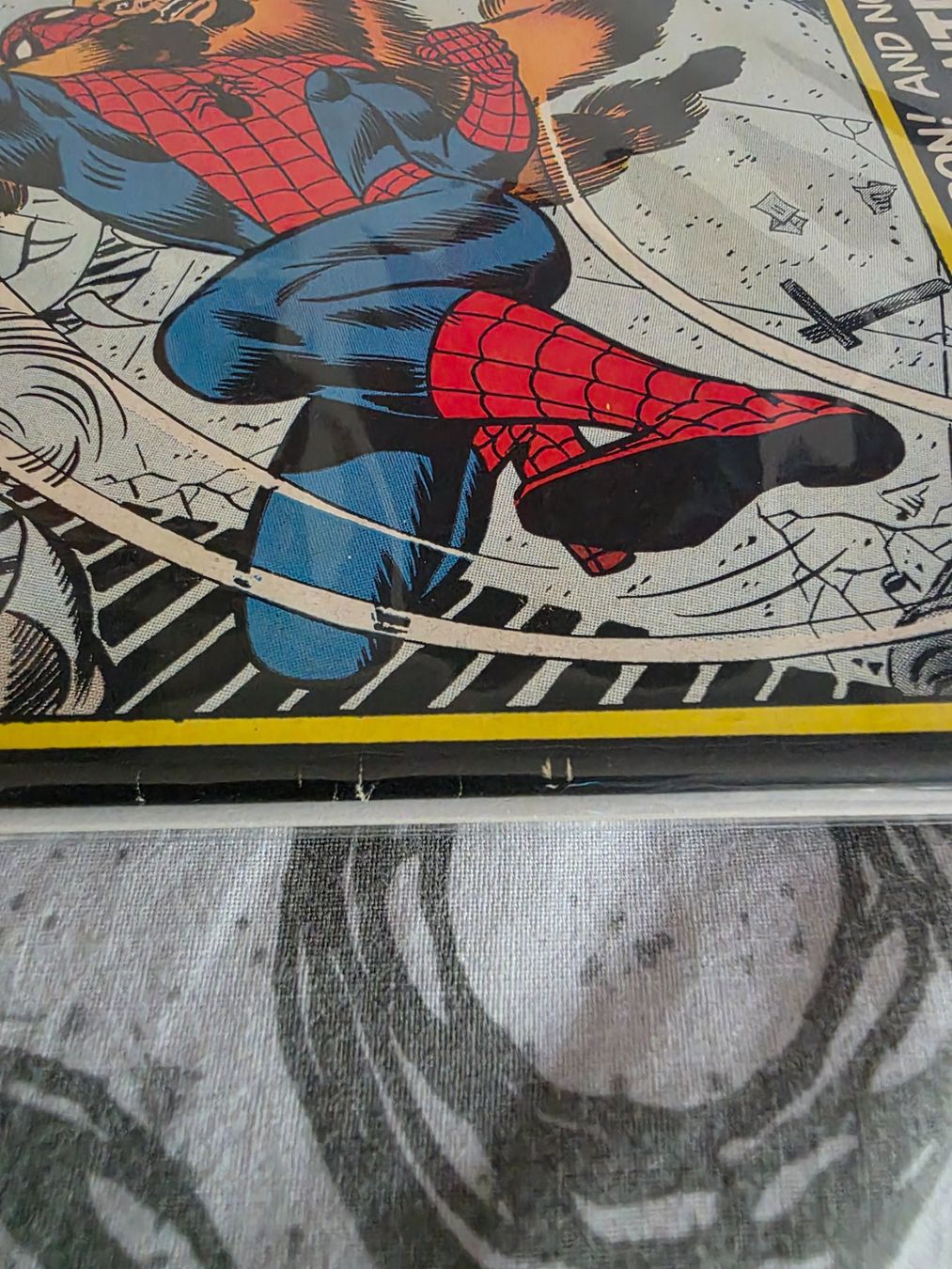 Fumetti: The Amazing Spider-Man #111 RAW 6.5 – Usato da Zürich venduto da Sams_FunkoandComics_ 5