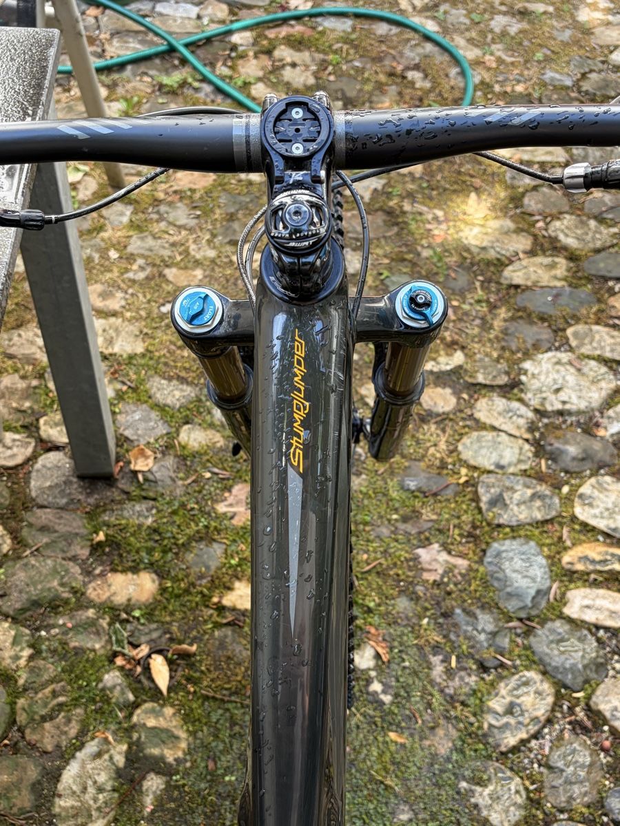 Specialized Velos: VTT Specialized Stumpjumper S-Works Full Carbon M – Gebraucht aus Basel von jul_m66m 4