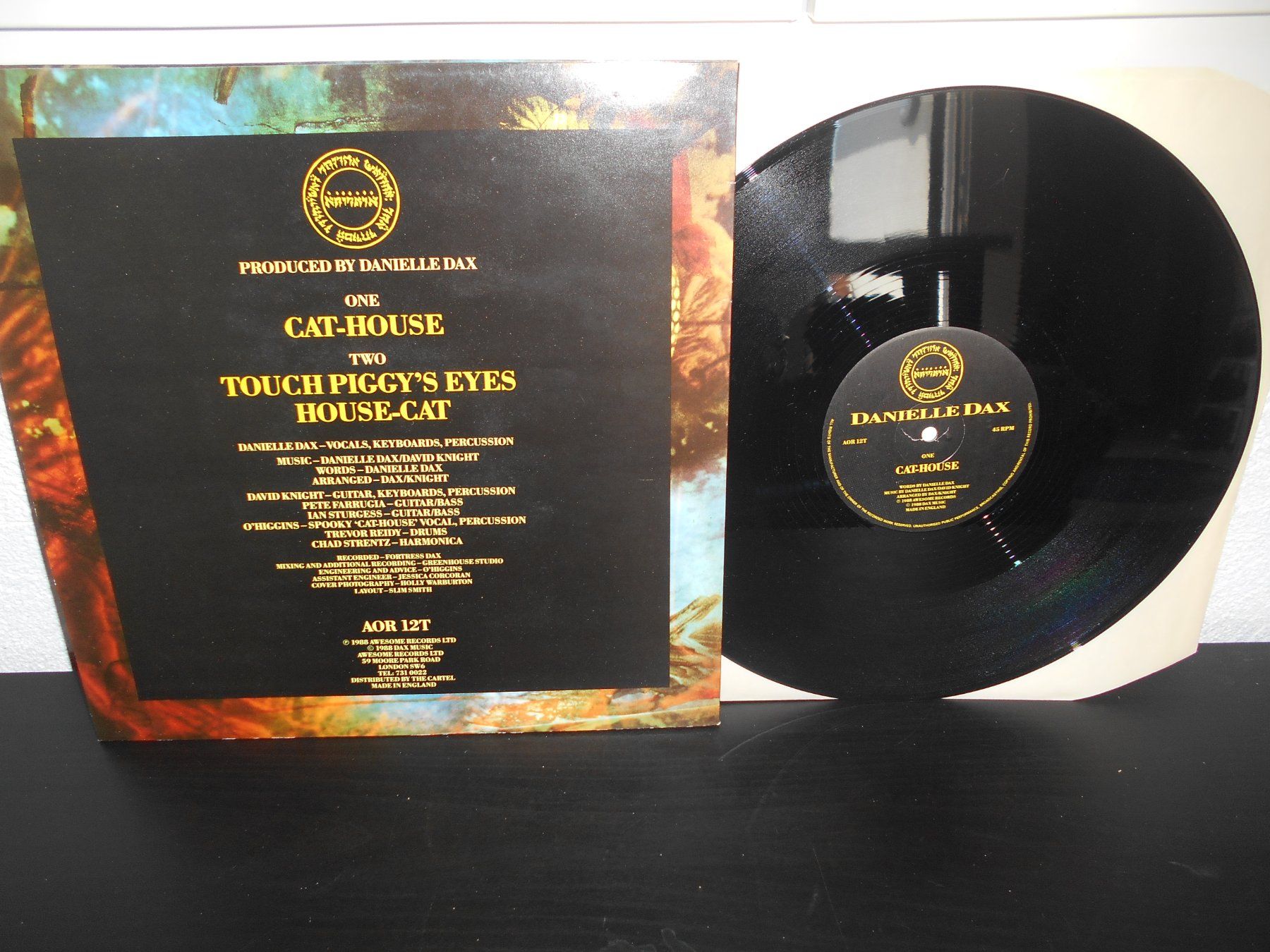 Dischi in vinile: Danielle Dax – Cat-House / 1988 / Maxi – Usato da Aarberg venduto da witchhunter01 1