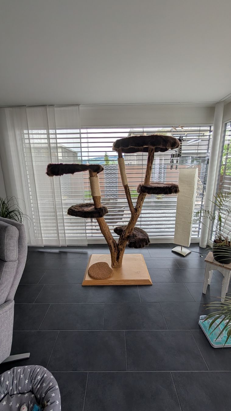 Tiragraffi: Naturkratzbaum mit 5 Liegeflächen – Usato da Niederwil AG venduto da Caraiba