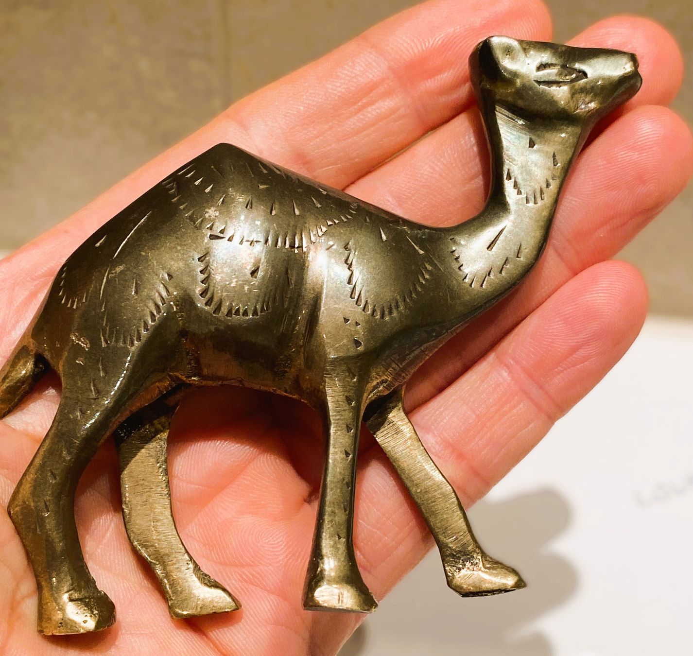 Statuette: wunderschöne Bronze Messing Figur Dromedar Kamel – Usato da Allschwil venduto da Rosenfee 1