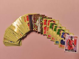 Panini WM 2026 100 Karten+Extra Sticker