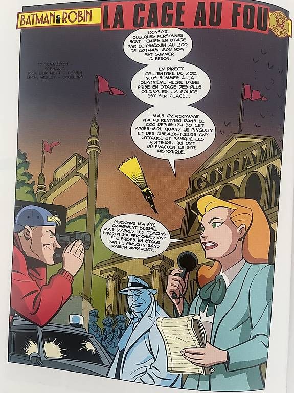 Comics: BD Batman Drôle d'oiseaux  – Gebraucht aus Lausanne von Catherine1003 2