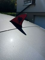 Fanflosse