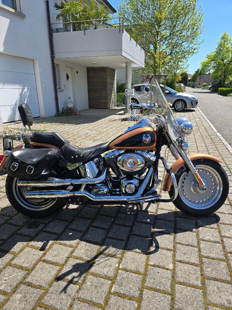 Harley-Davidson Chopper: FAT BOY FLSTF 1584 Anniversary edition – Gebraucht aus Wohlen AG von Bikergogo666 3