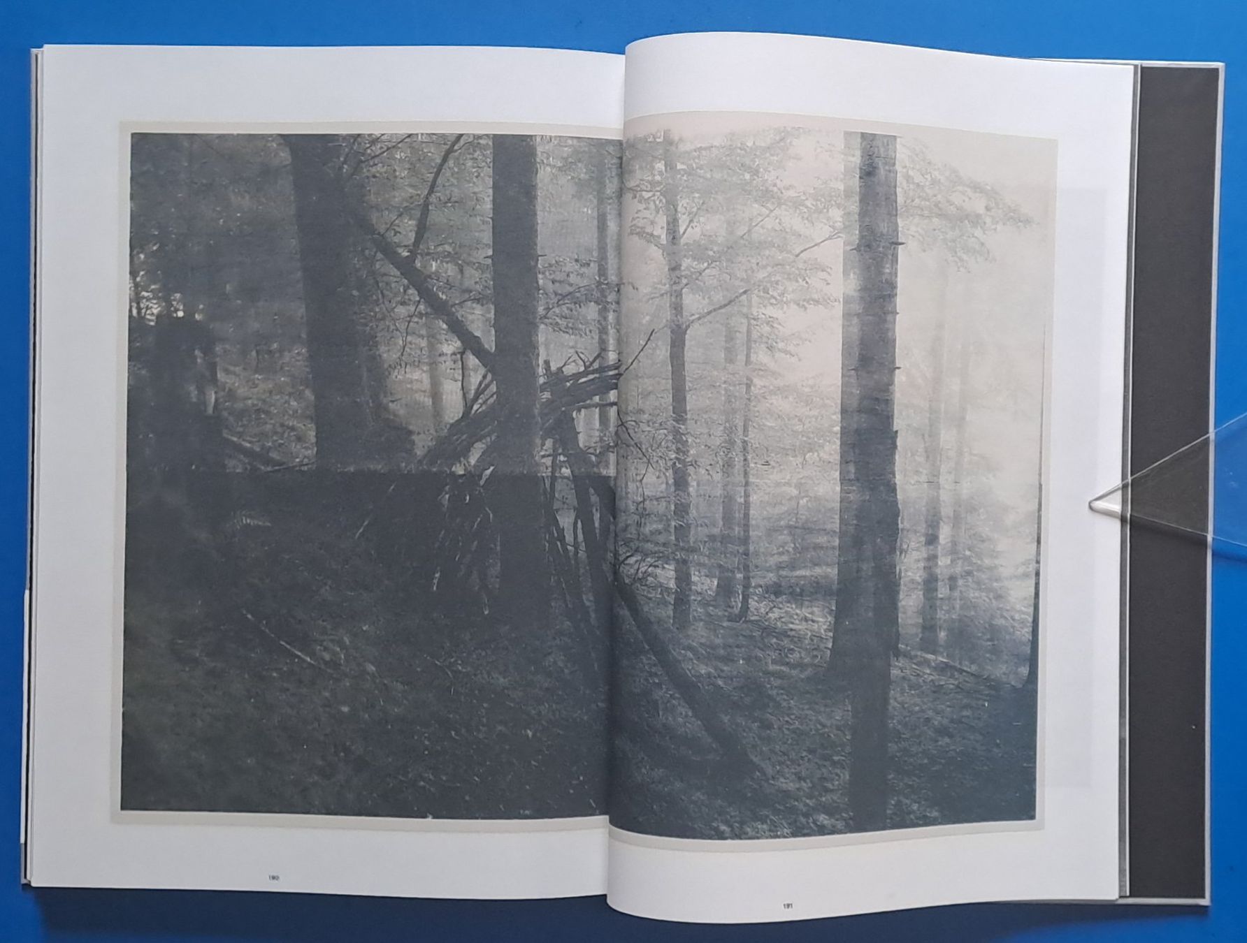 Livres: Tatjana Erpen: empty fire in my phone. EA 2019 d/e codax – D'occasion à Zürich par archiphil 9