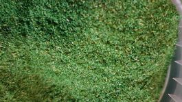 Flocage vert très foncé 30g