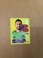 Panini Sticker