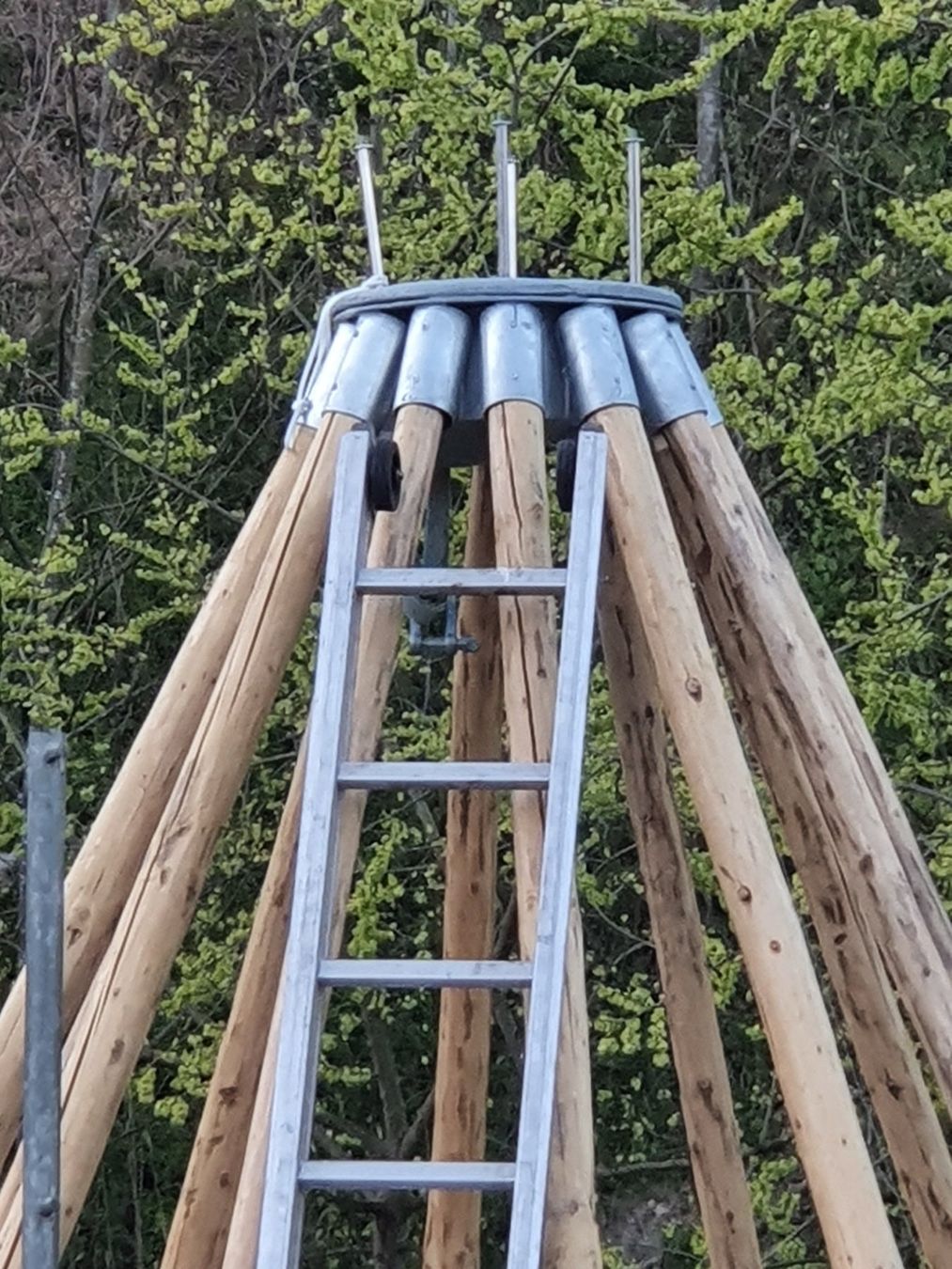 Tende & Padiglioni: Tipi Spitz- Eventzelt Unikat – Usato da Maschwanden venduto da ruth07 3