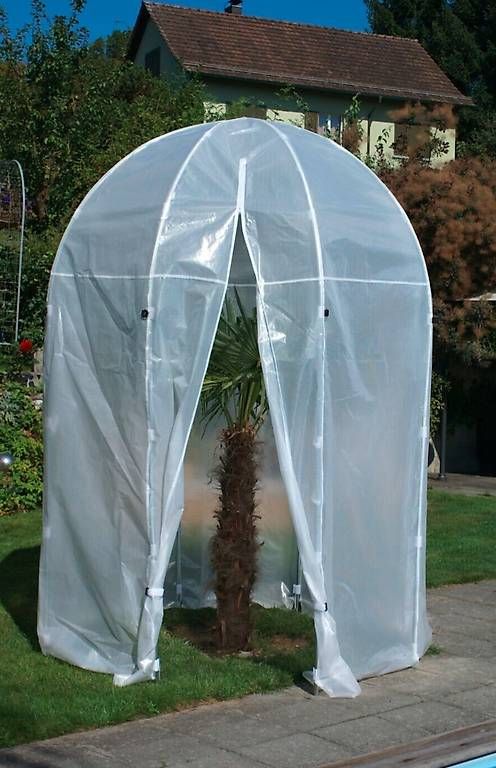 Casette da giardino & serre: Colibri Premium Palmenhaus Gr. M – Usato da Roggwil TG venduto da Smae91