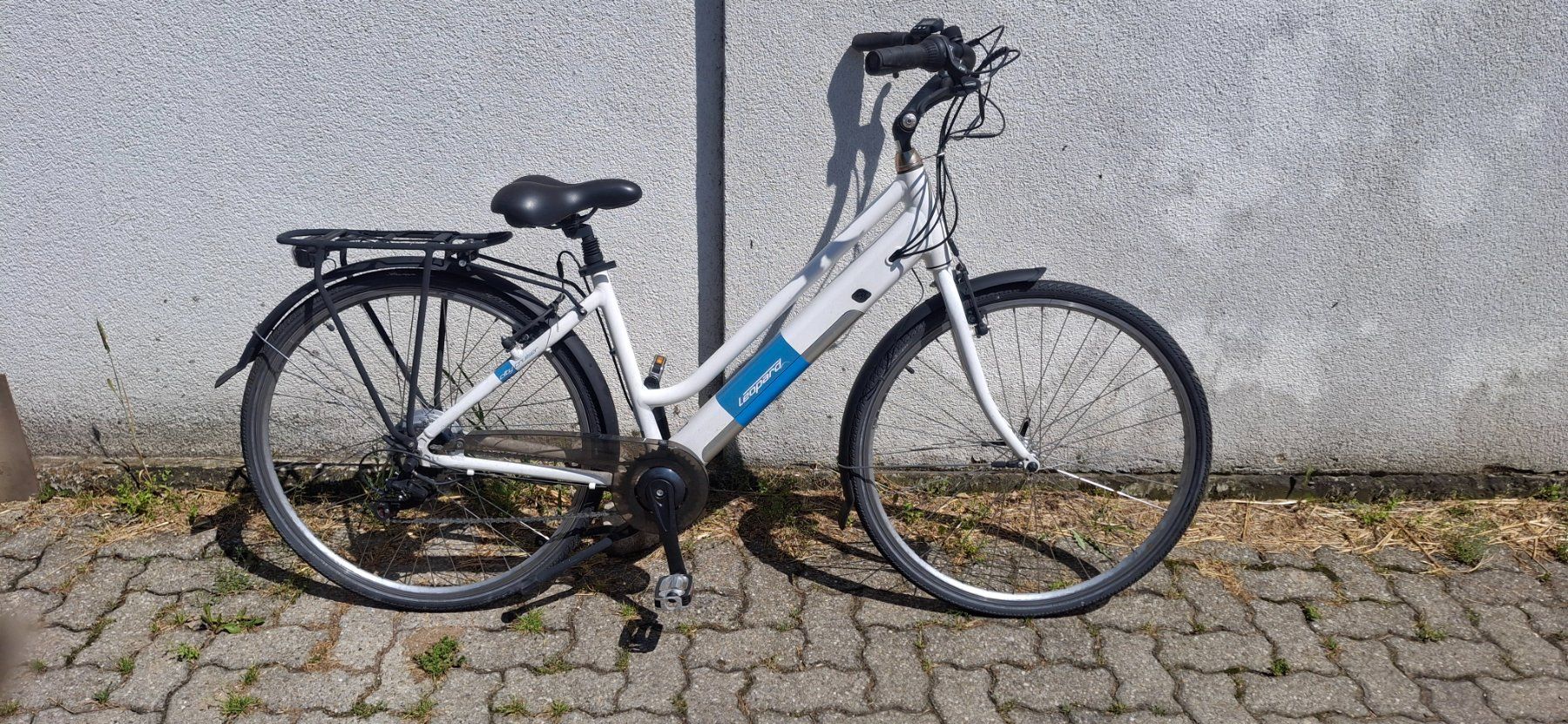 Leopard Velos: E bike Leopard – Defekt aus Kyburg von JBMNT2020