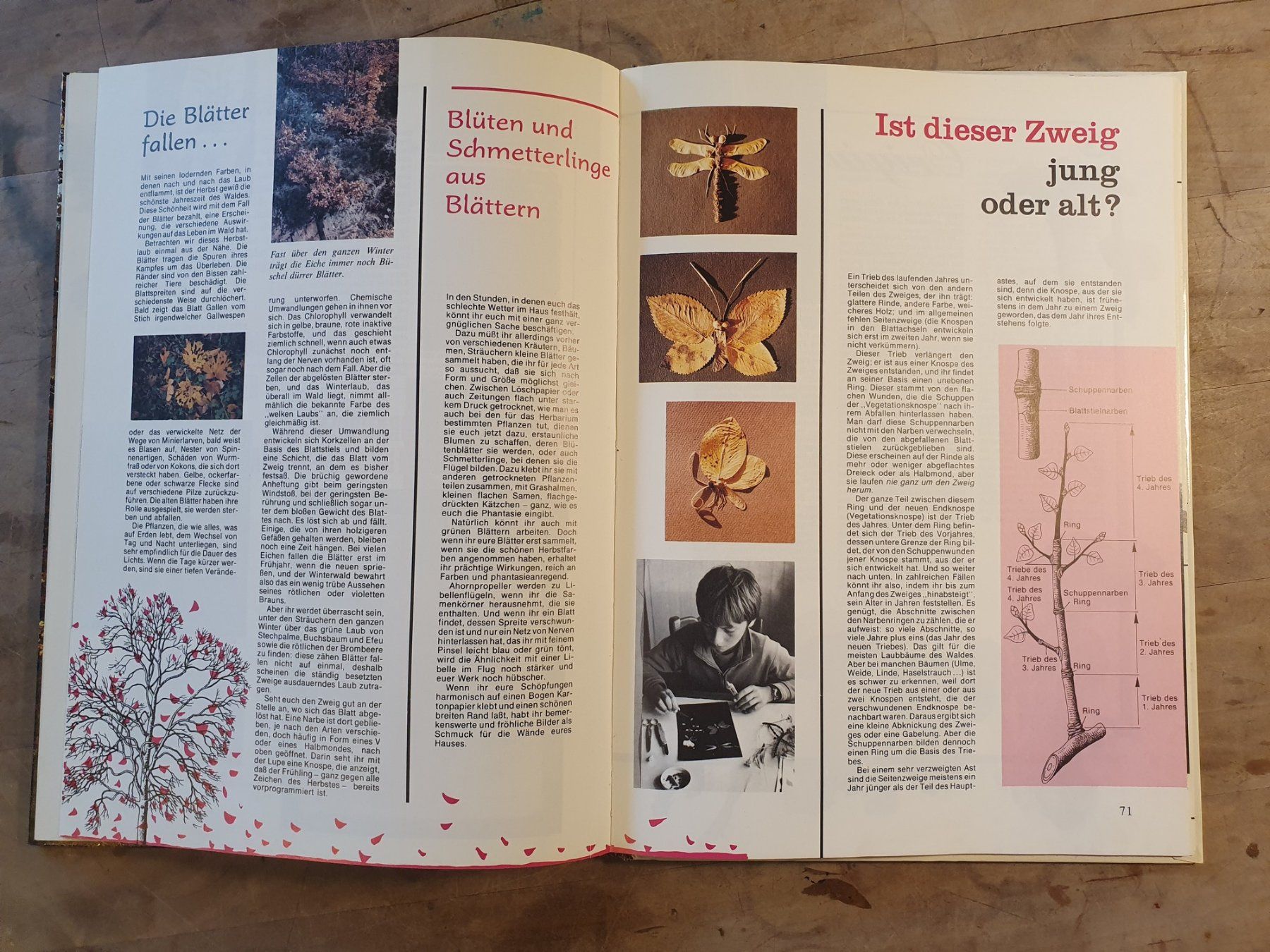 Libri: Der Wald lebt Solange Duflos Herder – Usato da Zürich venduto da loosebone 4