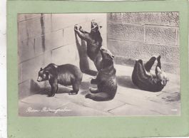 Bern Bärengraben 1924