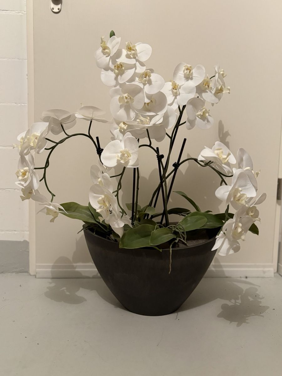 Piante & sementi: Orchidee im Topf – Künstlich – Nuovo (secondo la descrizione) da Meilen venduto da mogli_luna