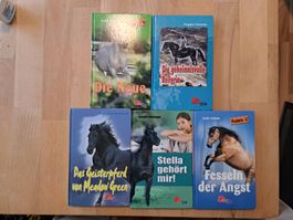 5 Pony Club Pferdebücher diverse Titel guter Zustand