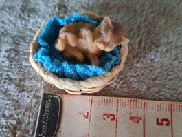 Ich bin ein süsses Kätzchen im Körbchen, fürs Puppenhaus