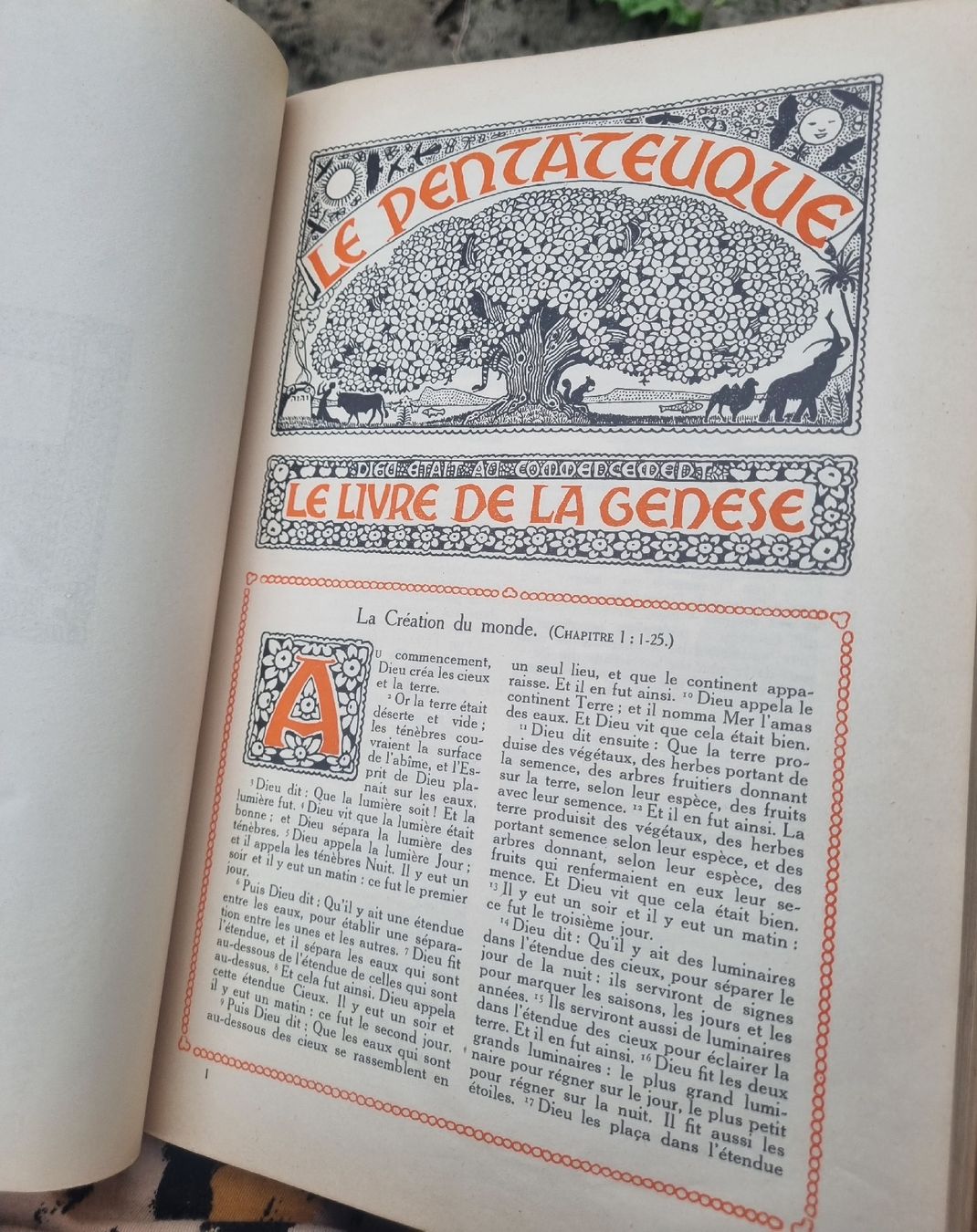 Bücher: LA BIBLE SYNODALE ÉdITION 1930 Lausanne – Gebraucht aus Fribourg von sal_5ln6 8