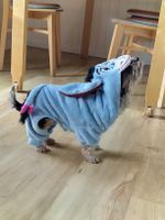 Hunde Kostüm Esel I-Aah für kleine Hunde, ideal für Fasnacht