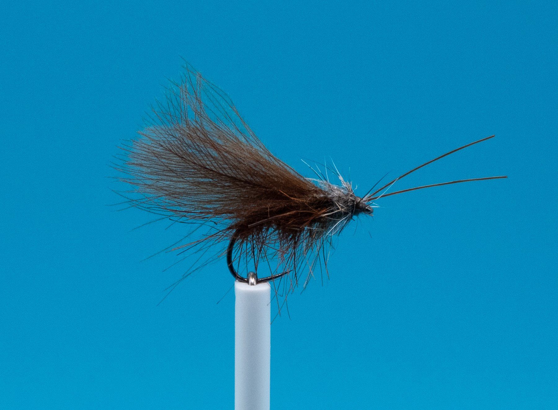 Esche: 5 Caddis Fly Grösse 10 – Nuovo e nell'imballaggio originale da Grenchen venduto da firefly2000 2