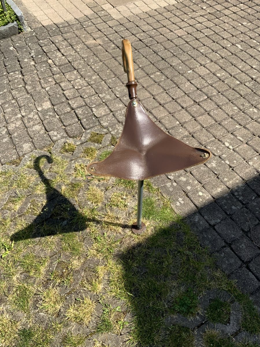 Ausili per la deambulazione: Gehstock mit Sitzgelegenheit – Usato da Magden venduto da rom_5zrl 5