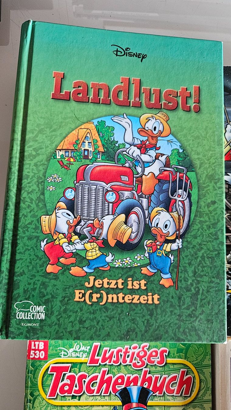 Fumetti: Lustige Taschenbücher Disney – Usato da Basel venduto da True_Hofer_Store 1