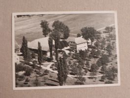 Karte Aesch ZH Hell Kamber Privat 1950