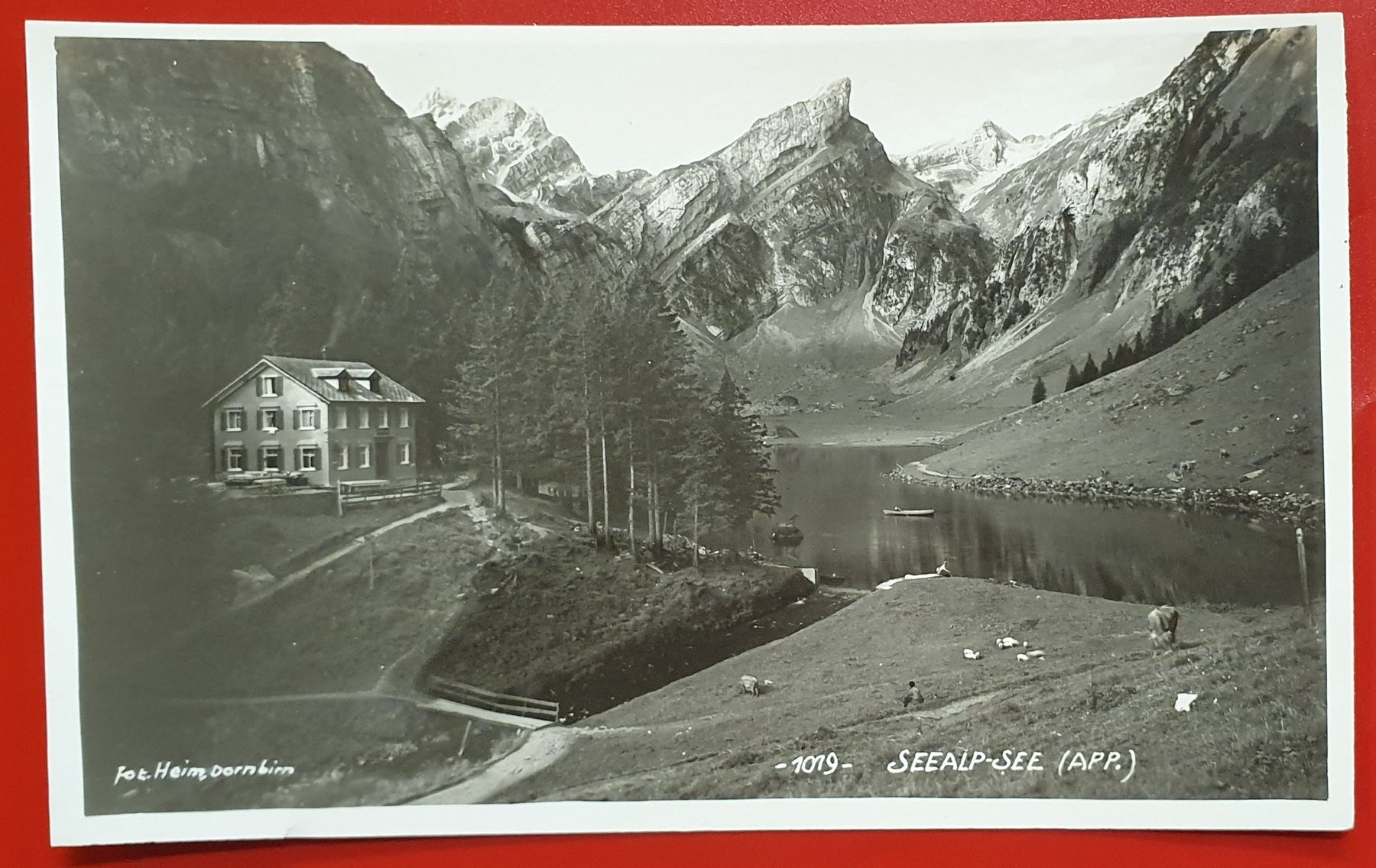 Cartoline postali: Lot von 8 Ansichtskarte vom Säntis & Alpstein – Usato da Kreuzlingen venduto da Rschweiz1 6