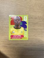 Panini FIFA WC RSA 10