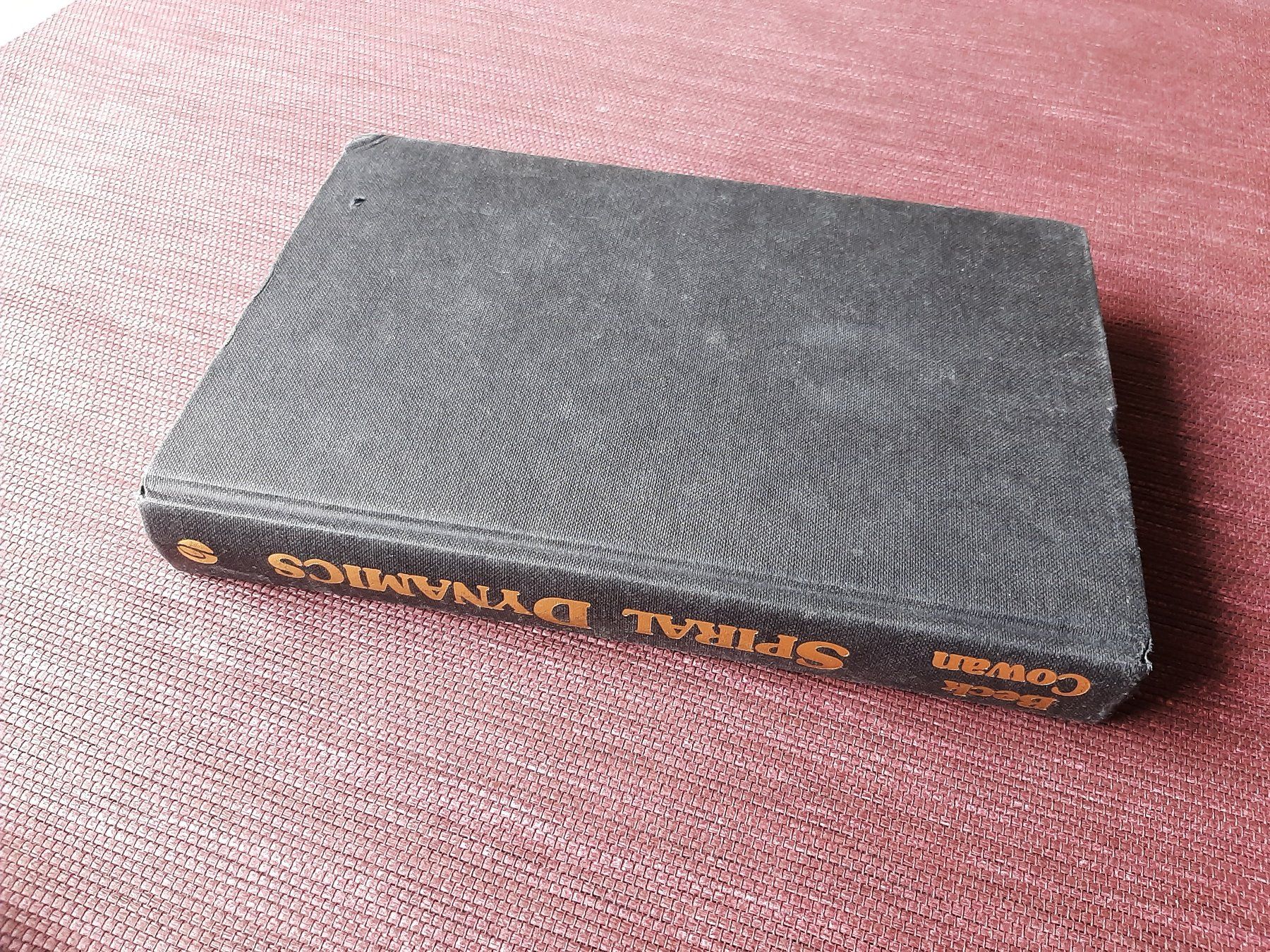 Bücher: Beck Cowan - Spiral Dynamics – Gebraucht aus Fribourg von metalhands 1