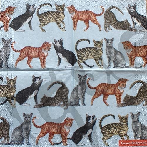 Tovaglioli: Serviette cats (1617) 25x25 2Stk. – Nuovo (secondo la descrizione) da Schlatt TG venduto da kreativ-atelier