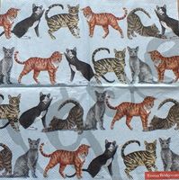 Serviette cats (1617) 25x25 2Stk.