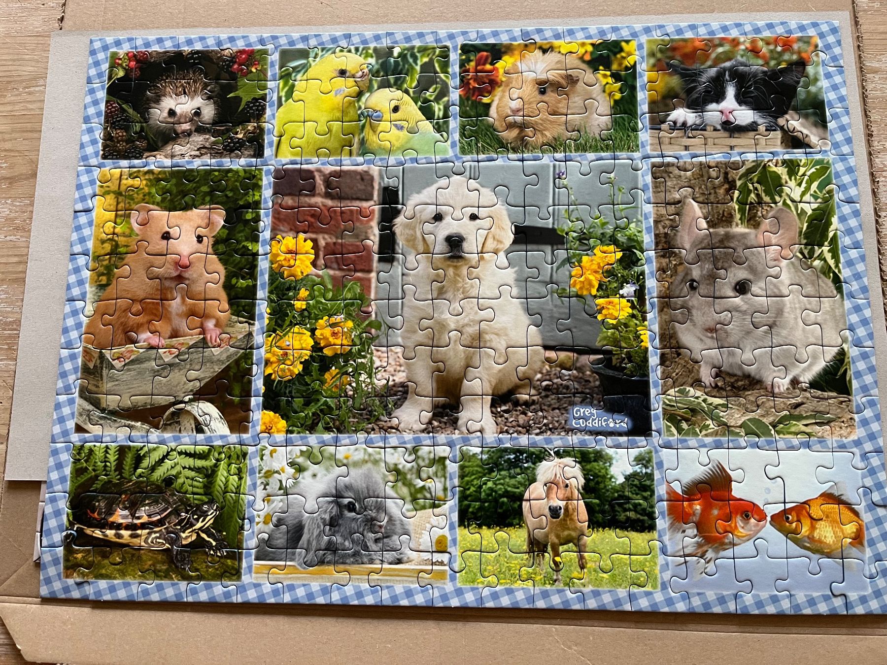 Ravensburger Puzzles: Ravensburger Puzzle Tiere 200 Teile – D'occasion à Eschenbach SG par Joey-Li 1
