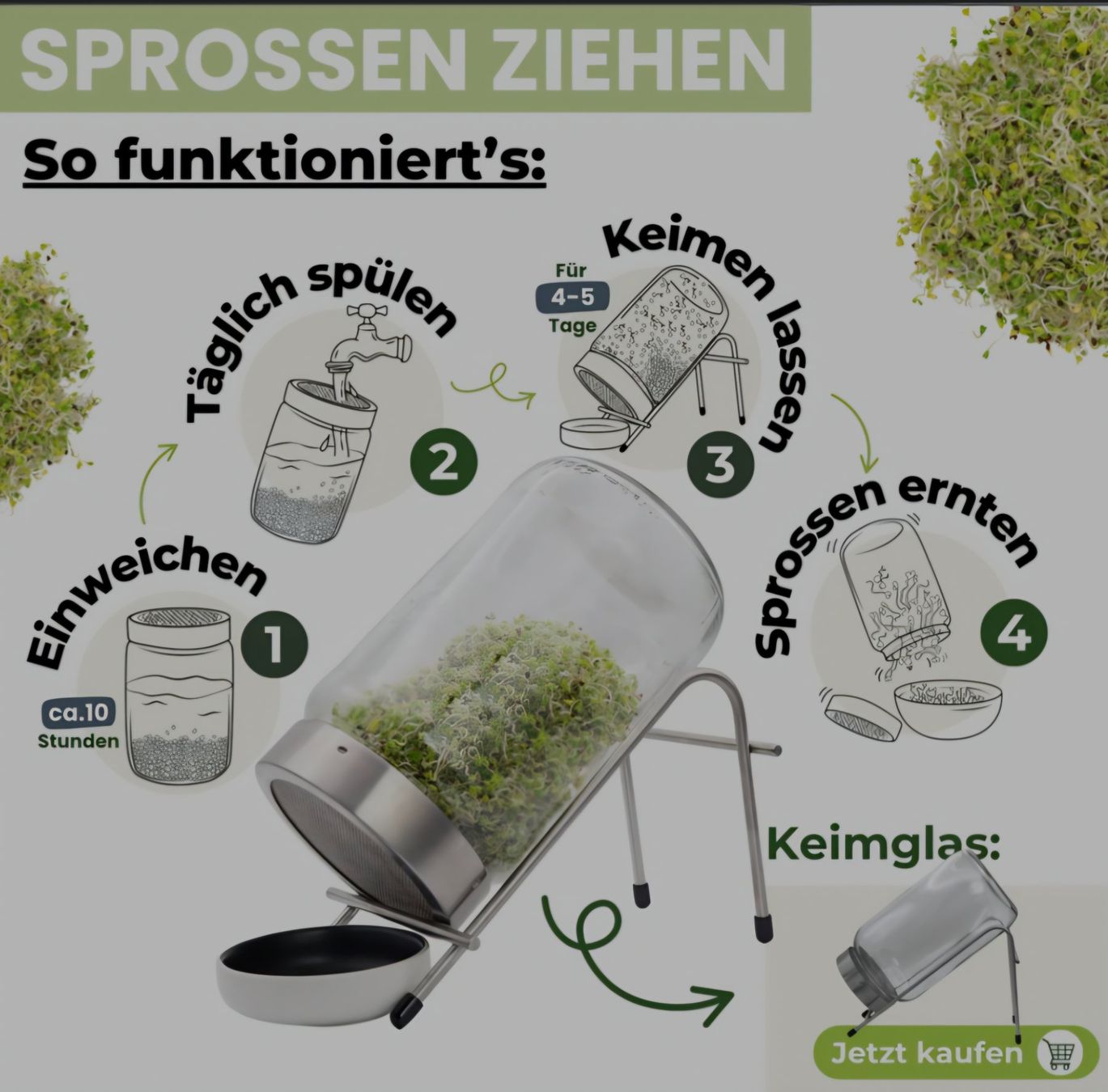Gläser: Grosses Sprossenglas – Gebraucht aus bichelsee von numa22 1
