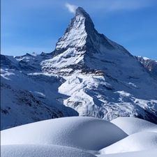 Profile image of in.swiss