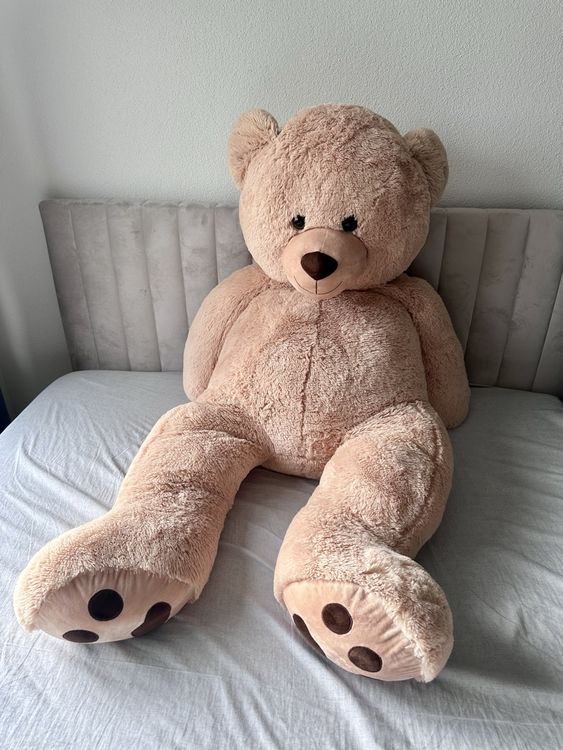 teddybär 2m