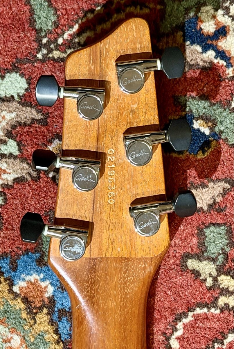 Godin Strumenti musicali: Godin Flat Five X Guitar, Cognac Burst, Mint Condition. – Usato da Coinsins venduto da DrDaktari 4