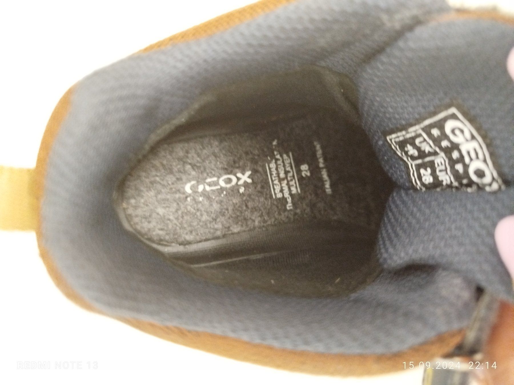 Geox Scarpe per ragazzi: Schuhe Geox Gr. 29 – Usato da Rütihof venduto da Juass 2