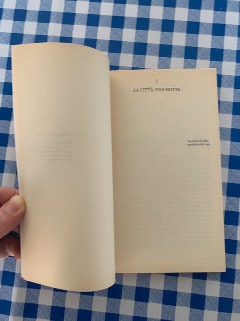 Bücher: Daniel Pennac - La fata carabina – Gebraucht aus Zürich von kicconet 1