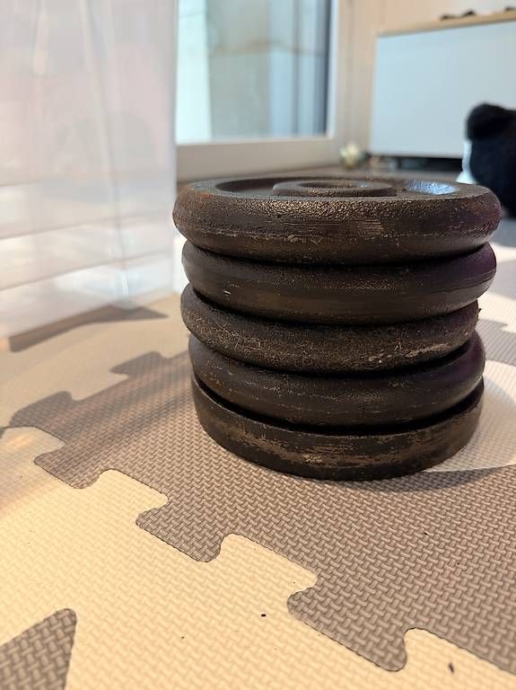 Manubri & Pesi: Hanteln 2x 10kg – Usato da Dagmersellen venduto da tho_5rbt 1