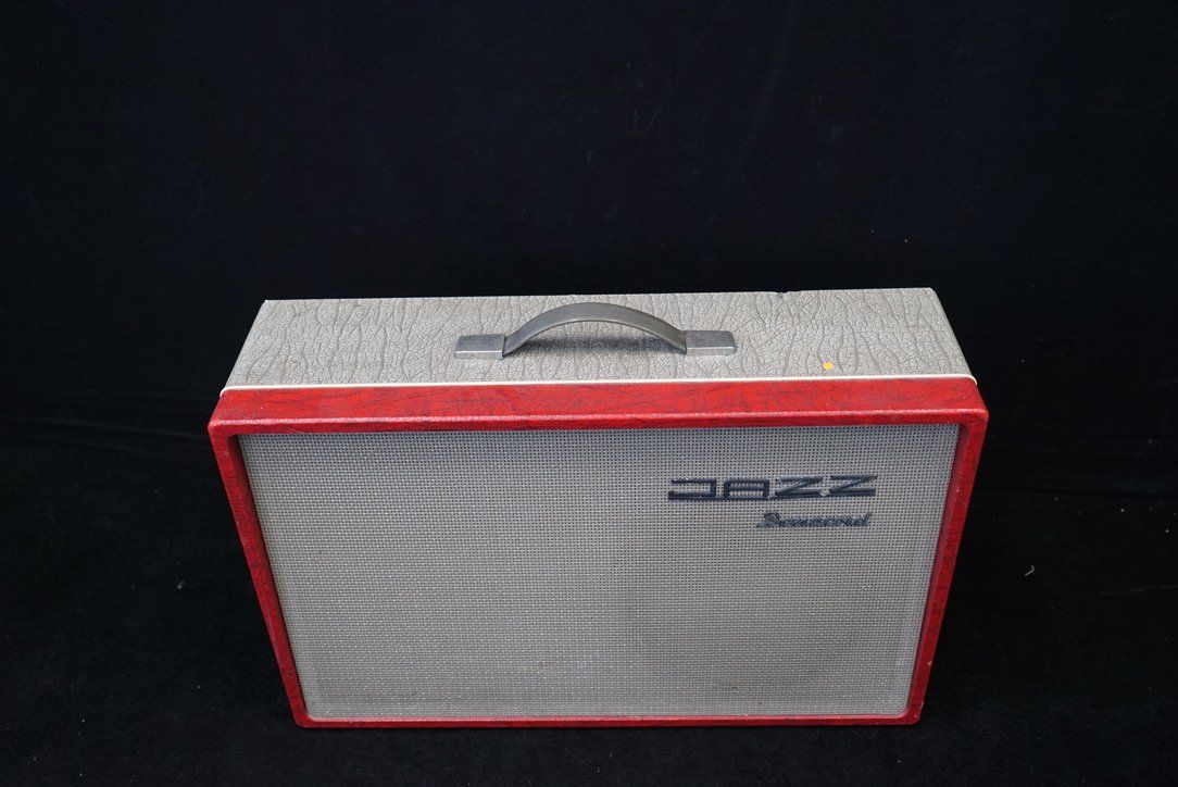 Dynacord Verstärker: Dynacord Jazz 60's Combo vintage Amp – Gebraucht aus Ortschwaben von Musictrade 2