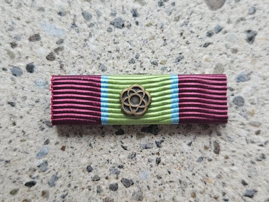 Schweizer Armee Placchette & Badge: *** Swisscoy 1 x Bronce Ribbon *** – Nuovo e nell'imballaggio originale da Riedholz venduto da fr_sIruP