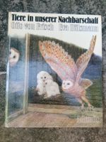 Tiere in unserer Nachbarschaft - Freilebende Tiere Dorf & S.
